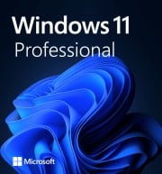 Microsoft Windows 11 Professional (OEM/Retail)