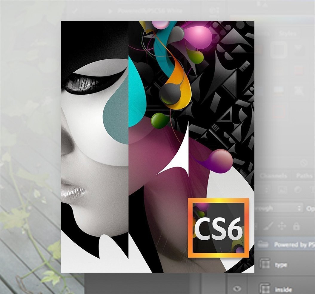 Adobe CS6 Design Standard