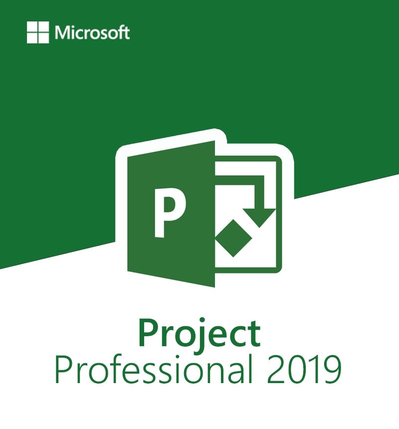 Microsoft Project 2019 Professional